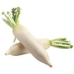 白萝卜 每根