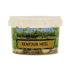 Asli Kentjur(Koentjoer) Heel 95g