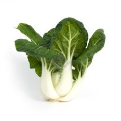 新鲜小白菜 500克