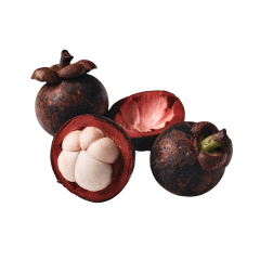 新鲜山竹 500克 （季节限定）