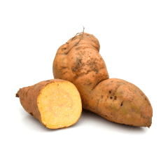  Dag Vers 洋薯 每公斤