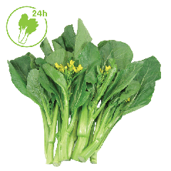 新鲜菜心 500克