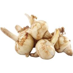 新鲜茨菇 每公斤 / Dag Vers  Arrow Head per kg