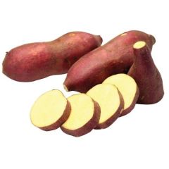 白心番薯 1千克 