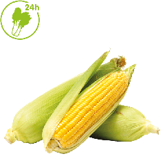 新鲜甜玉米 每根