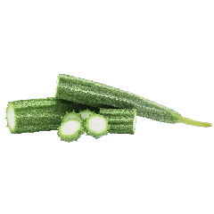 新鲜丝瓜 1千克 