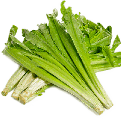 新鲜麦菜 500克 