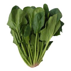 新鲜菠菜 500克 