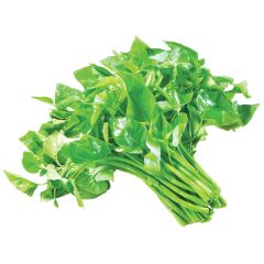 空心菜 (Kang Kong) 500克