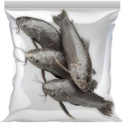 蘇利南急凍鯰魚 1公斤