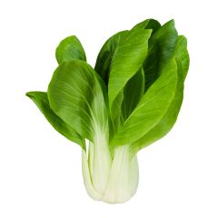 Daily Fresh Mini Bok Choy 500g
