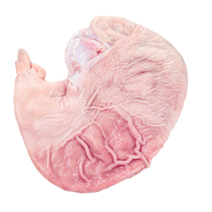 冰鮮豬肚 1千克