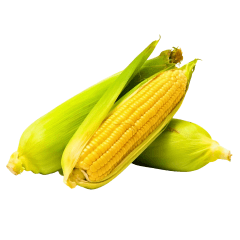 Dag Vers Mais Per Stuk