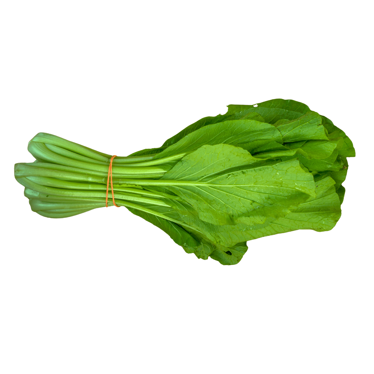 新鲜长芥菜500克| 神奇的东方