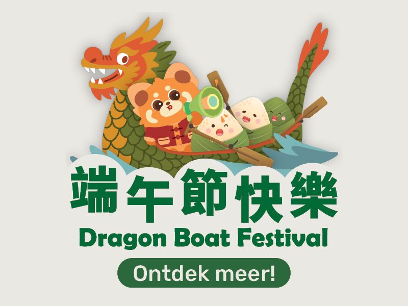 Dragon Boat Festival